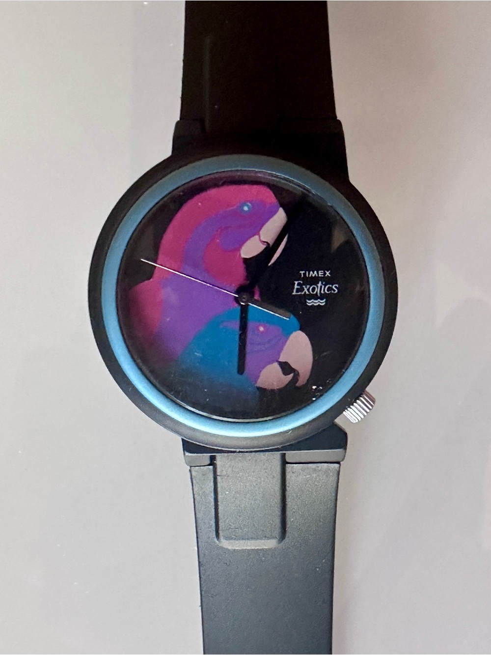 Timex Exotics Black Watch with Pink and Purple Parrot Dial